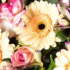 Florist Choice Sheaf in Cellophane 