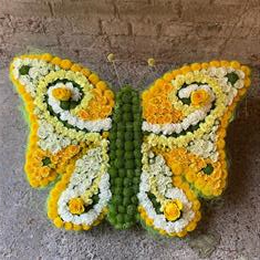 butterfly tribute