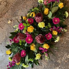 Protea spray