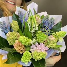 Pastel hyacinth mix