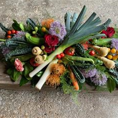 Vegetable Spray