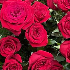 Red rose spray