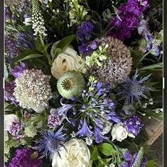 Blue and white garden spray