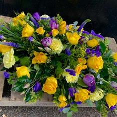 Bright Yellow  and blue spray