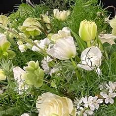 white spring casket spray